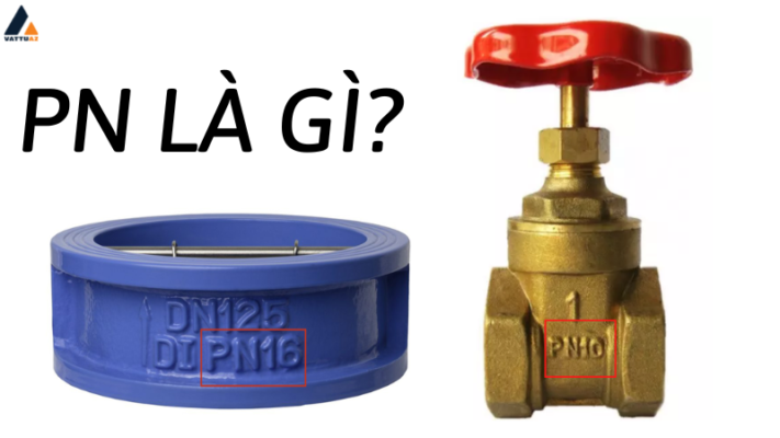PN là gì?