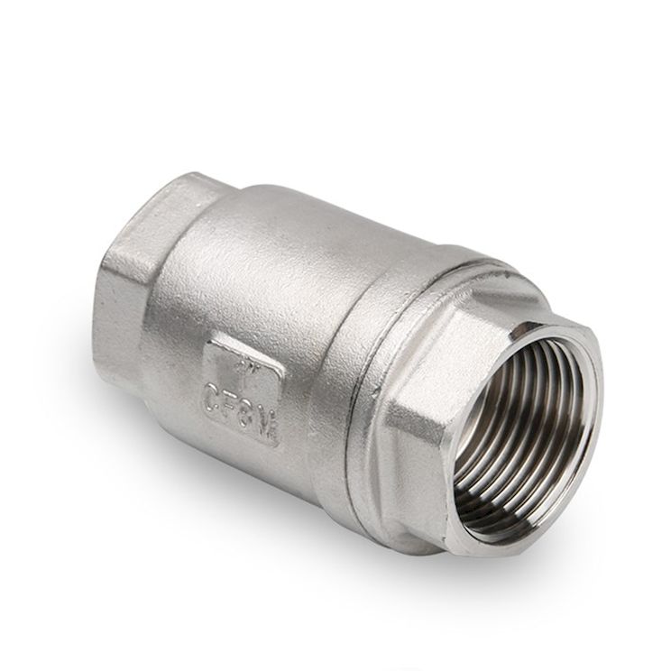 Van một chiều inox dạng lò xo