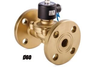 Van điện từ nước 220v phi 60