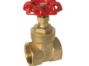 Van cổng DN25