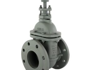 Van cổng DN80