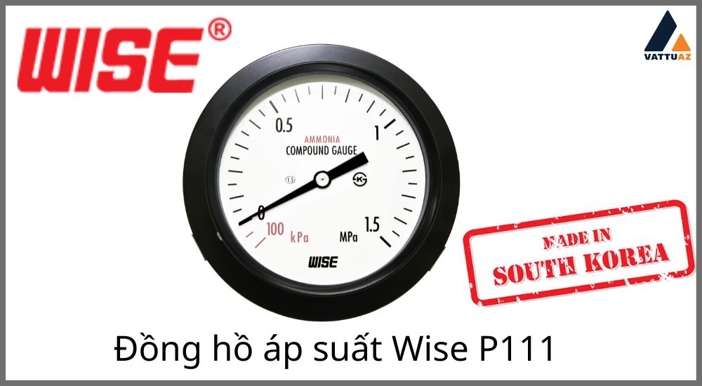 Tổng quan về đồng hồ áp suất Wise P111