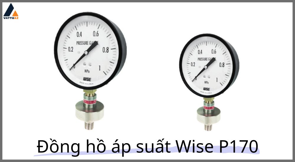 Thông số kĩ thuật đồng hồ áp suất Wise P170
