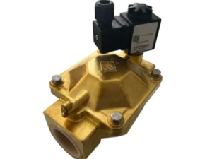Van điện từ ODE 21WA4R0B130