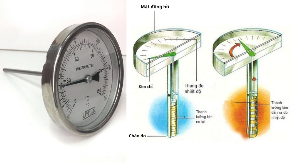Đồng hồ nhiệt Unijin vỏ inox chân sau