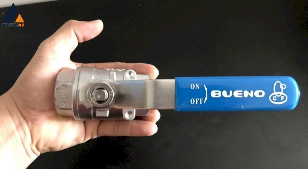 van-bi-bueno-8