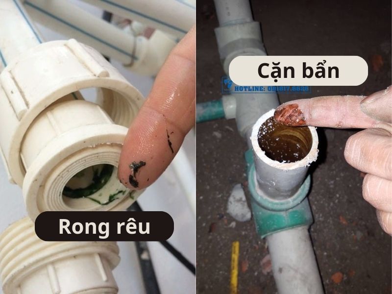 Lưu ý vệ sinh đường ống