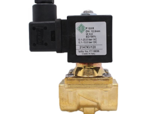 Van điện từ ODE 21H7KV120