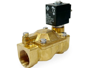 Van điện từ ODE 21W6KV400
