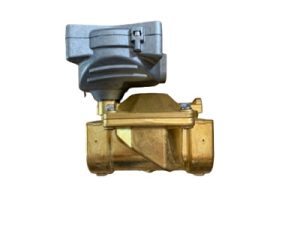 Van điện từ ODE 21W7KIV500