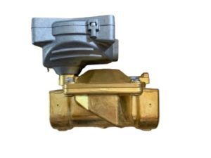 Van điện từ ODE 21W7ZIV500