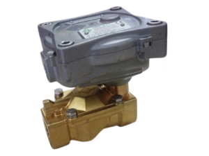 Van điện từ ODE 21W3ZIV190