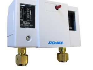 Công tắc áp suất DNS-D606X